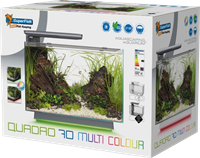 Superfish Quadro 70 Pro Multi Colour zwart-2