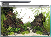 Superfish Quadro 70 Pro wit