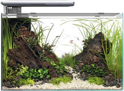 Superfish Quadro 70 Pro wit