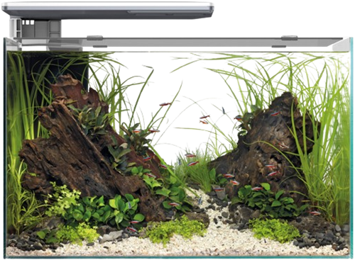 Superfish Quadro 70 Pro wit