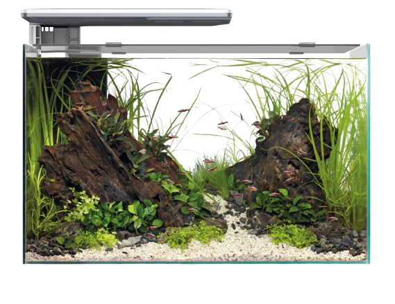 Superfish Quadro 70 Pro wit