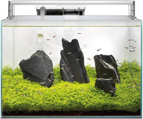 Superfish Scaper 90-3