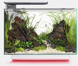 Superfish Quadro 70 Pro Multi Colour wit