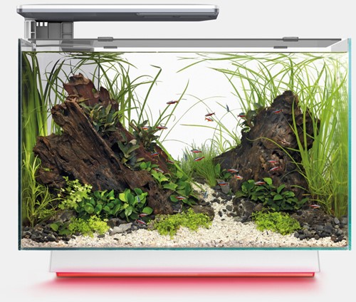 Superfish Quadro 70 Pro Multi Colour wit