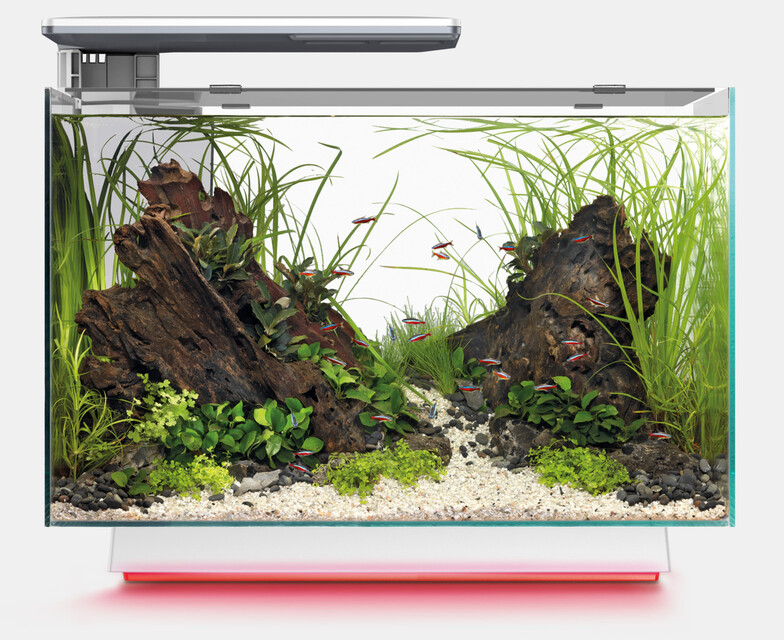 Superfish Quadro 70 Pro Multi Colour wit