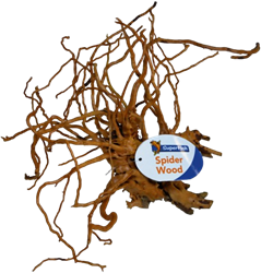 Superfish Spiderwood medium