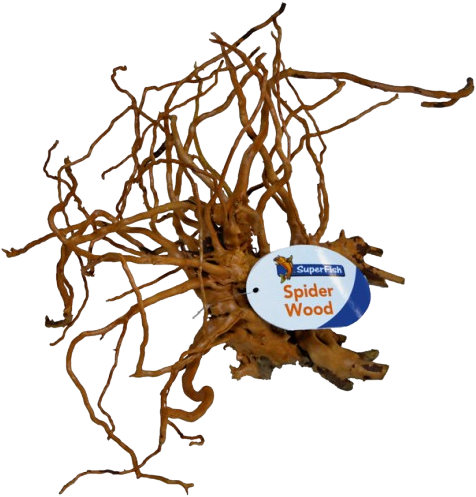 Superfish Spiderwood medium