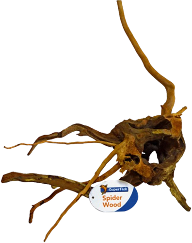Superfish Spiderwood small
