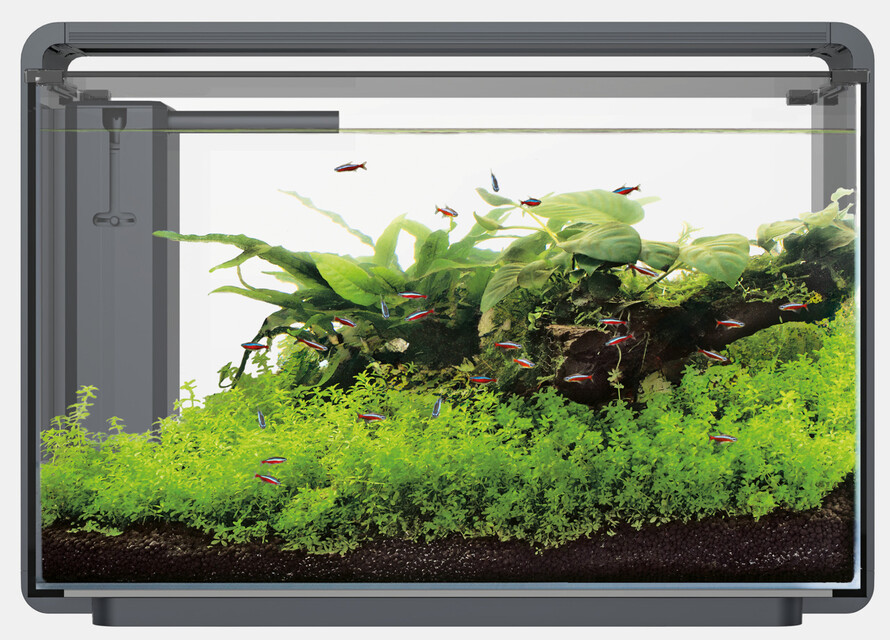 Superfish Home ProLED 65 zwart