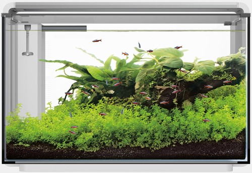 Superfish Home ProLED 85 wit