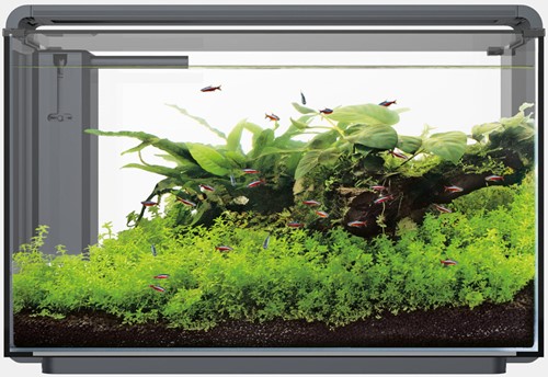 Superfish Home ProLED 85 zwart