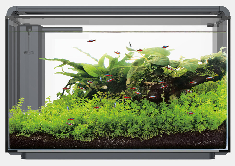 Superfish Home ProLED 85 zwart