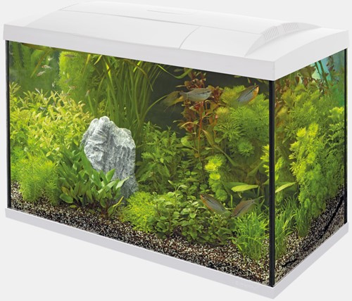 Superfish Start 150 tropical aquarium wit