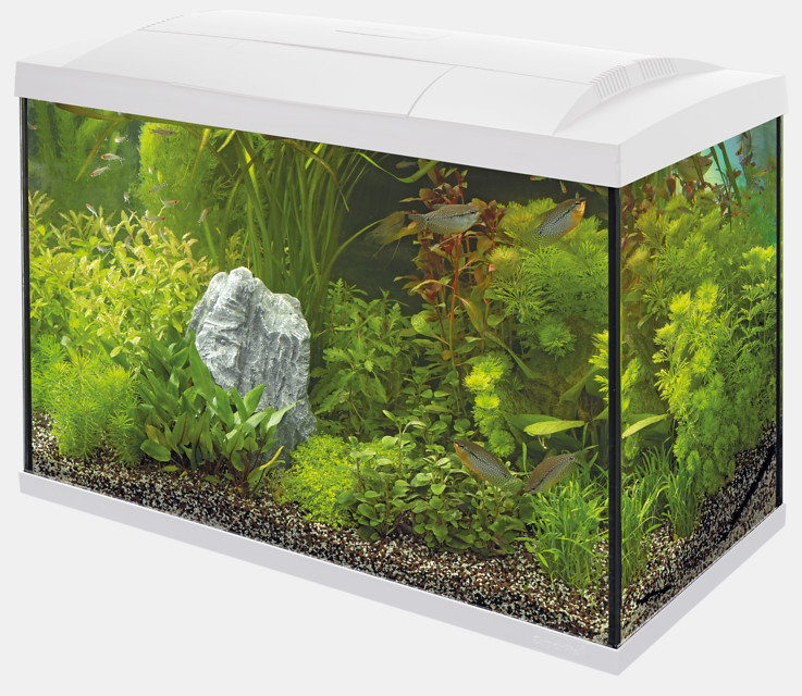 Superfish Start 150 tropical aquarium wit