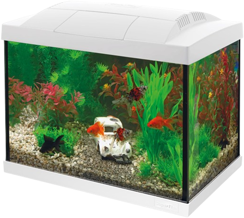 Superfish Start 20 aquarium wit