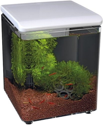 Superfish Home 8 wit