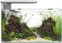 Superfish Quadro 40 Pro wit-3