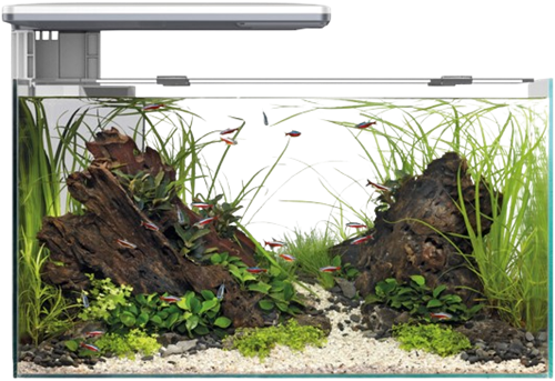 Superfish Quadro 40 Pro wit-3