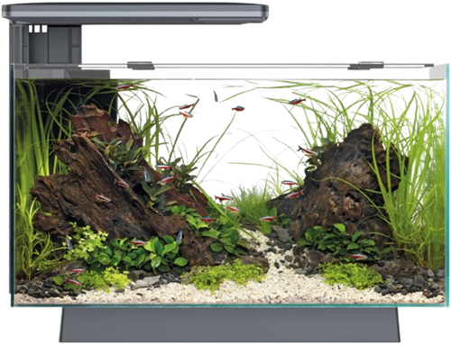 Superfish Quadro 40 Pro zwart-2