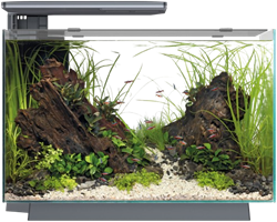 Superfish Quadro 70 Pro zwart