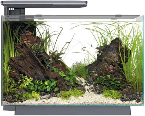 Superfish Quadro 70 Pro zwart