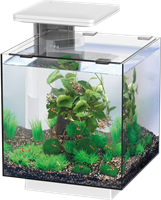 Superfish QubiQ 15 LED wit