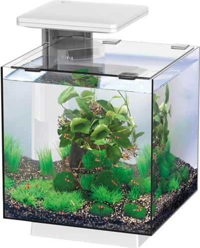 Superfish QubiQ 15 LED wit