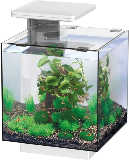 Superfish QubiQ 15 LED wit