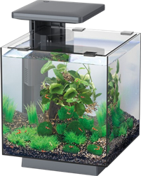 Superfish QubiQ 15 LED Zwart