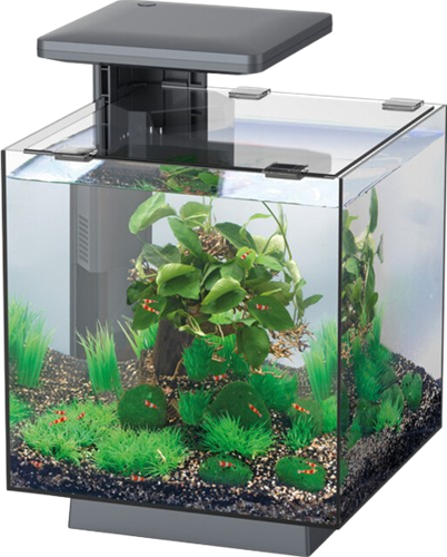 Superfish QubiQ 15 LED Zwart