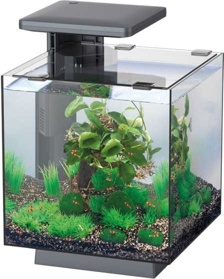Superfish QubiQ 15 LED Zwart