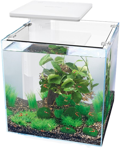 Superfish QubiQ 30 Pro wit