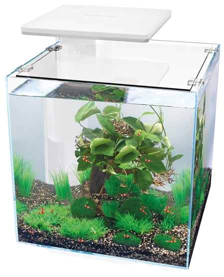 Superfish QubiQ 30 Pro wit