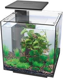 Superfish QubiQ 30 Pro zwart