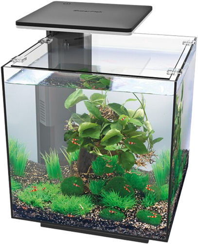 Superfish QubiQ 30 Pro zwart