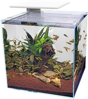 Superfish QubiQ 60 Pro wit