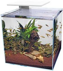 Superfish QubiQ 60 Pro wit