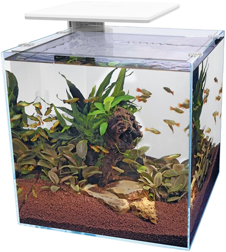 Superfish QubiQ 60 Pro wit