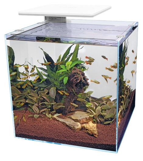 Superfish QubiQ 60 Pro wit