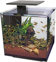 Superfish QubiQ 60 Pro zwart