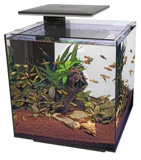 Superfish QubiQ 60 Pro zwart