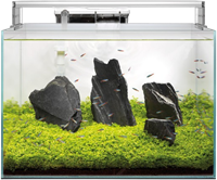 Superfish Scaper 45-2