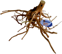 Superfish Spiderwood large