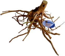 Superfish Spiderwood large