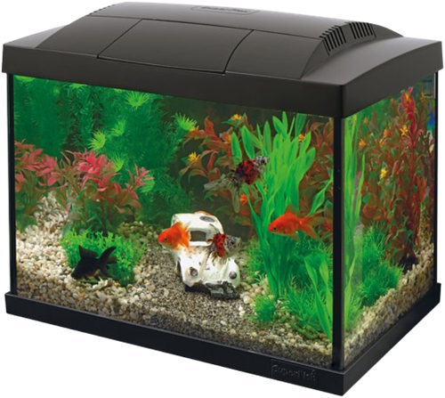Superfish Start 20 aquarium zwart