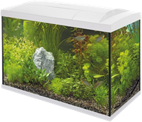 Superfish Start 70 tropical aquarium zwart