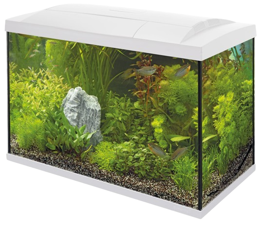 Superfish Start 70 tropical aquarium zwart