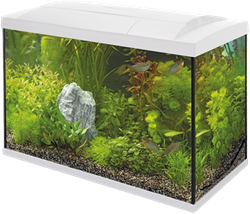 Superfish Start 100 tropical aquarium wit