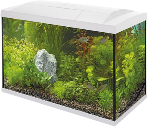 Superfish Start 100 tropical aquarium wit
