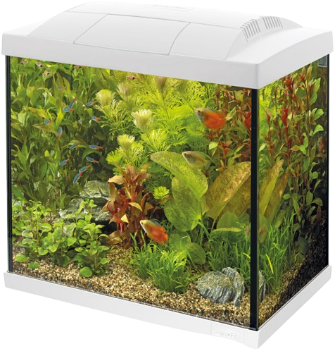 Superfish Start 50 tropical aquarium wit